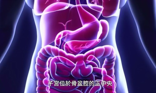 月子里阴天下雨能喝鸡汤出汗吗网 - 坐月子炖鸡汤可以放酒吗,坐月子煮鸡汤可以放生姜吗